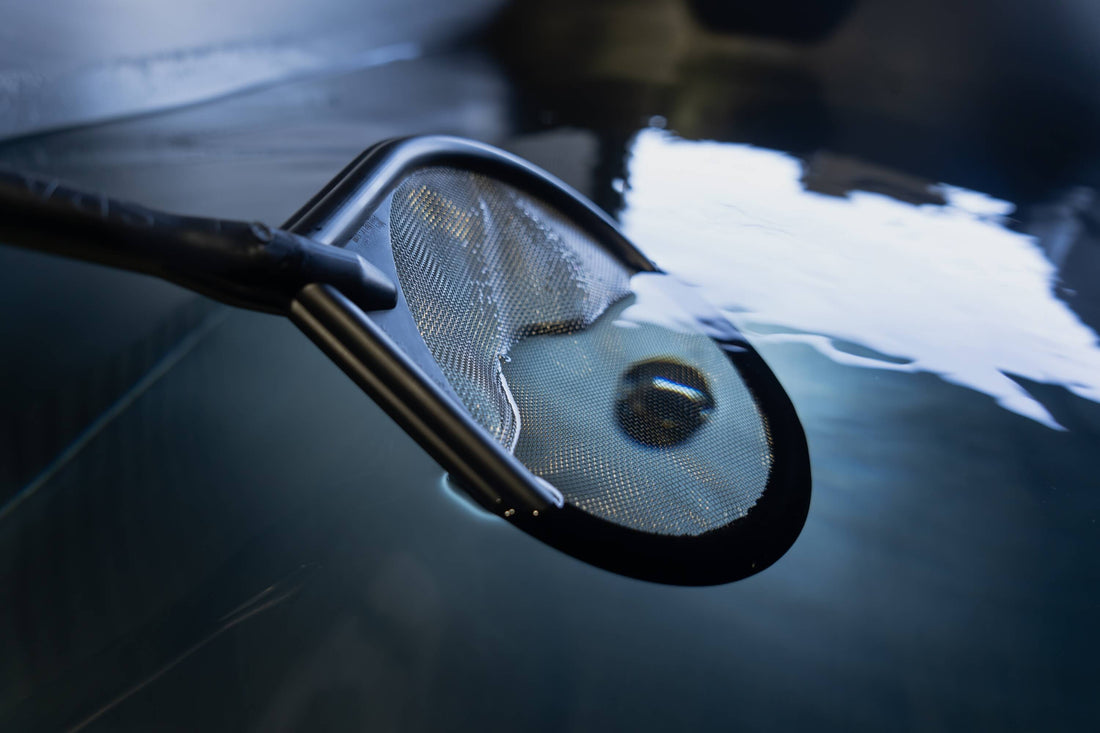 What’s the best way to sanitize a plunge without harsh chemicals?