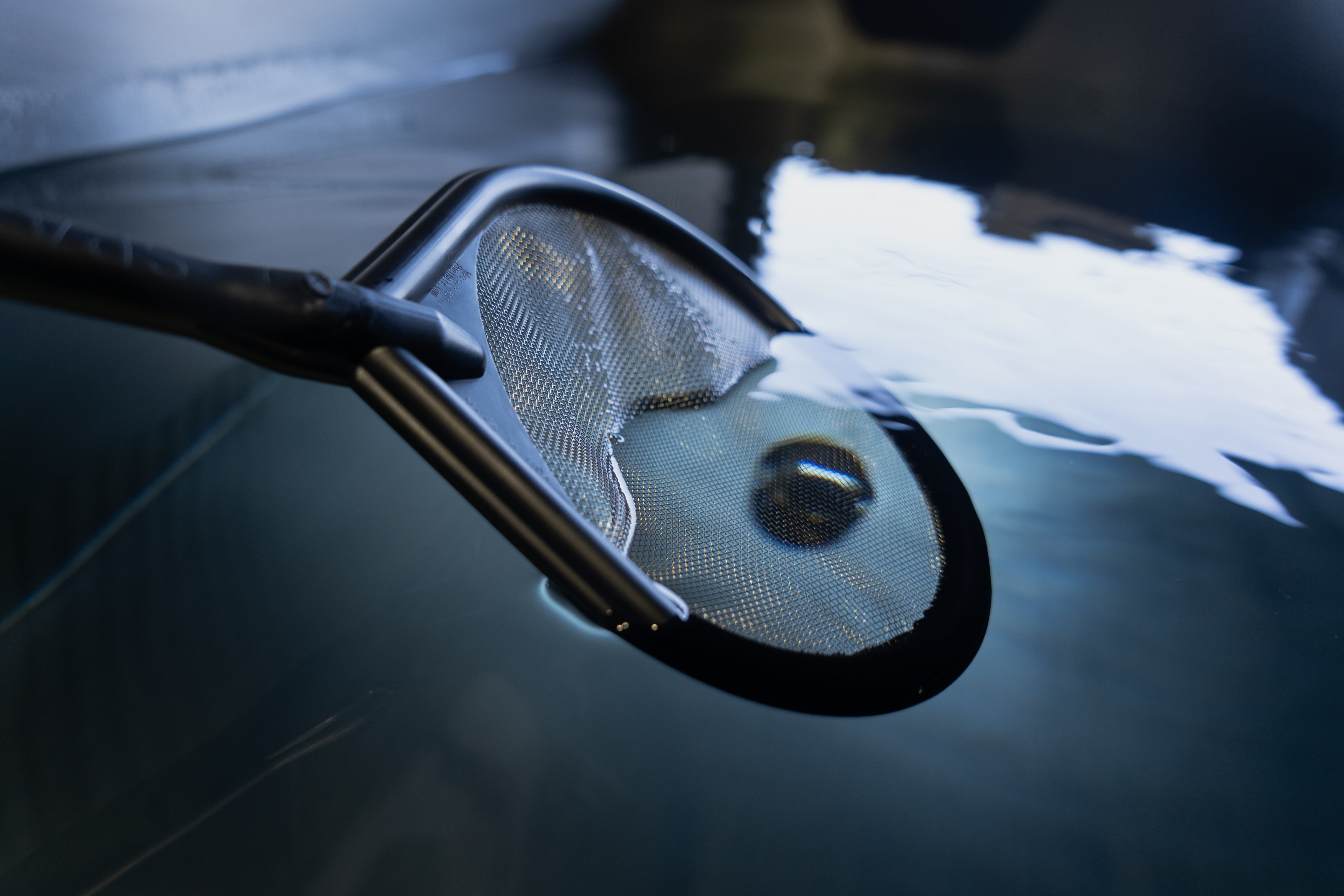 A close-up of the Skimmer Net’s stainless steel mesh, partially submerged and reflecting light on rippled water—perfect for efficient debris removal during a cold plunge skimmer session.